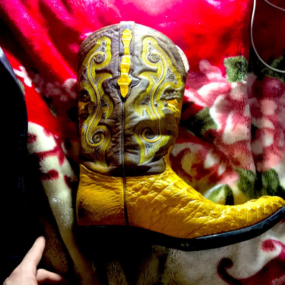 Alligator skin boots perfect condition